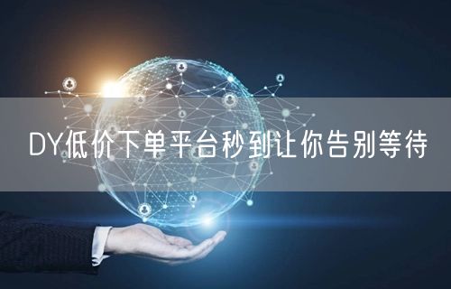 DY低价下单平台秒到让你告别等待