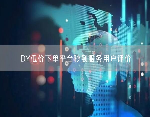 DY低价下单平台秒到服务用户评价