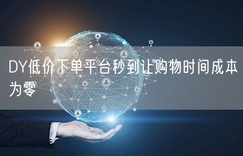 DY低价下单平台秒到让购物时间成本为零