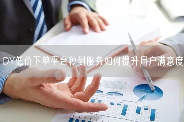DY低价下单平台秒到服务如何提升用户满意