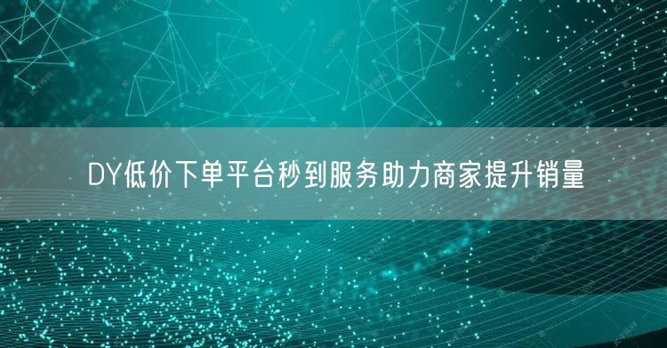 DY低价下单平台秒到服务助力商家提升销量