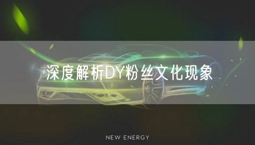 深度解析DY粉丝文化现象