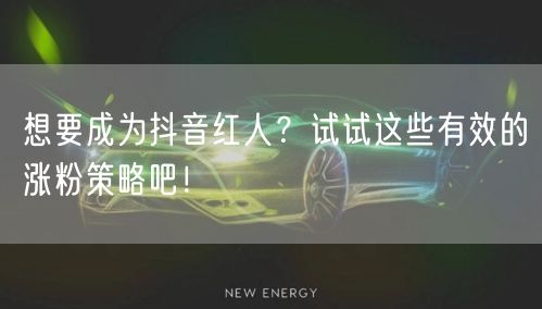想要成为抖音红人？试试这些有效的涨粉策略