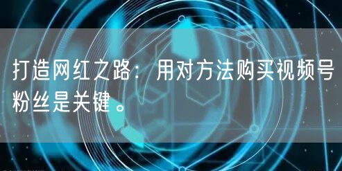 打造网红之路:用对方法购买视频号粉丝是关