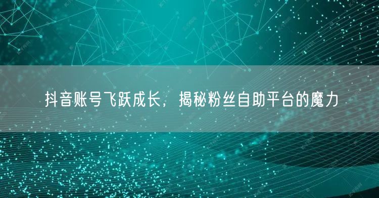 抖音账号飞跃成长，揭秘粉丝自助平台的魔力