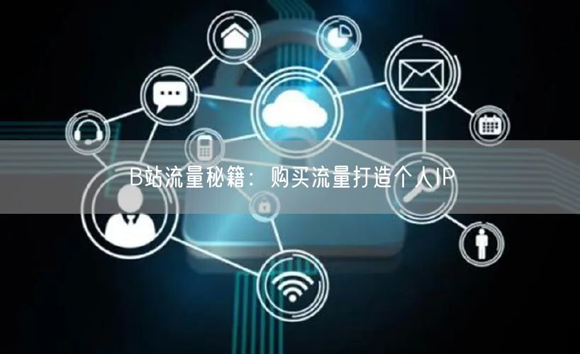 B站流量秘籍：购买流量打造个人IP