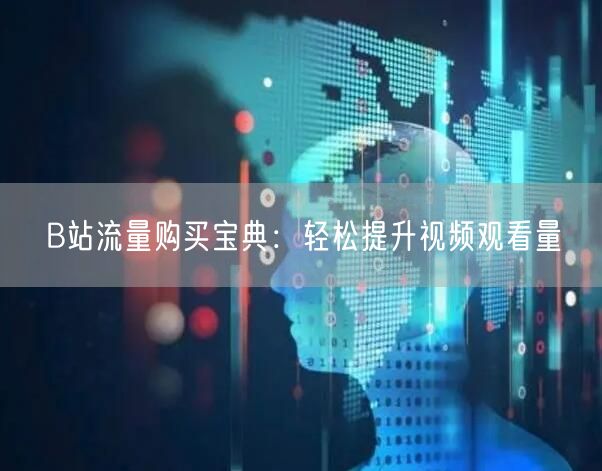 B站流量购买宝典：轻松提升视频观看量