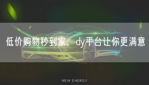 低价购物秒到家，dy平台让你更满意