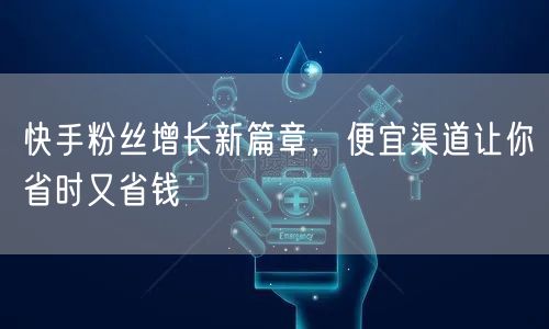快手粉丝增长新篇章，便宜渠道让你省时又省