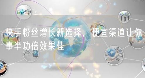 快手粉丝增长新选择，便宜渠道让你事半功倍
