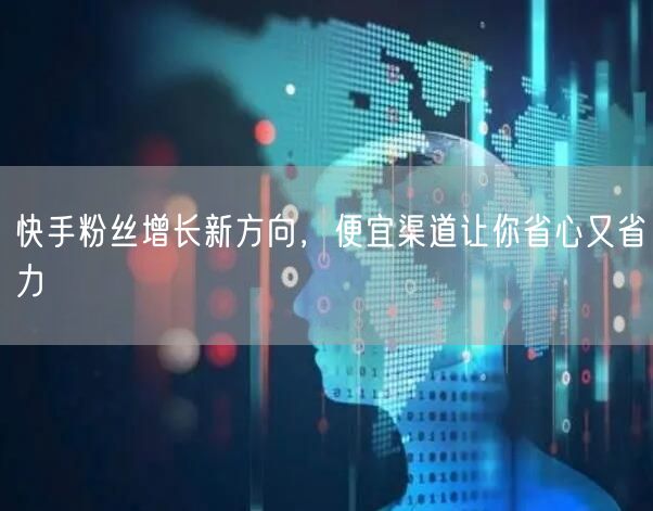 快手粉丝增长新方向，便宜渠道让你省心又省