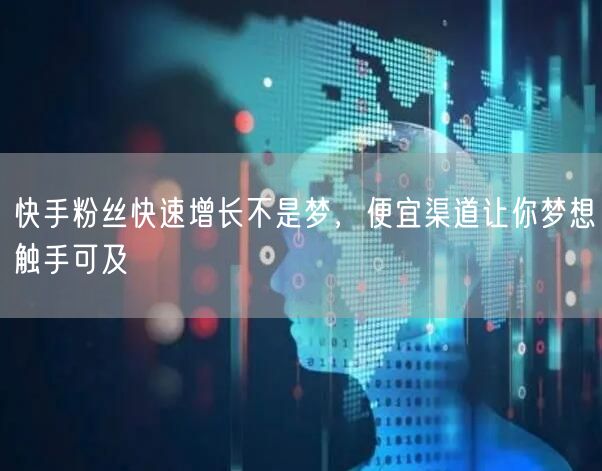 快手粉丝快速增长不是梦，便宜渠道让你梦想