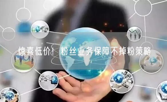 惊喜低价！粉丝业务保障不掉粉策略
