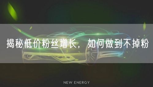 揭秘低价粉丝增长，如何做到不掉粉