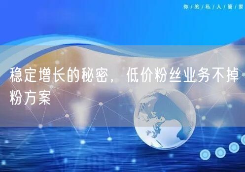 稳定增长的秘密，低价粉丝业务不掉粉方案