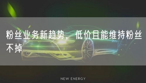 粉丝业务新趋势，低价且能维持粉丝不掉