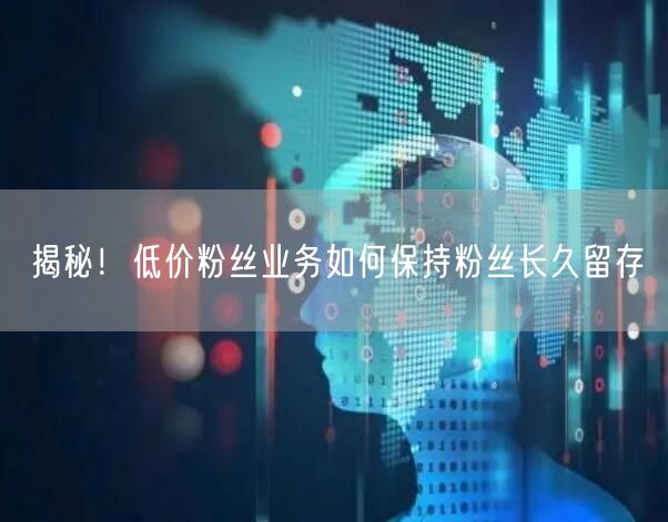 揭秘！低价粉丝业务如何保持粉丝长久留存