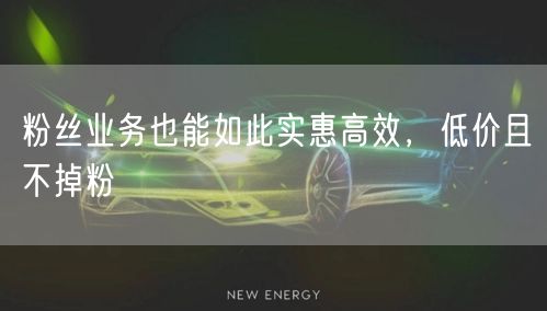 粉丝业务也能如此实惠高效，低价且不掉粉