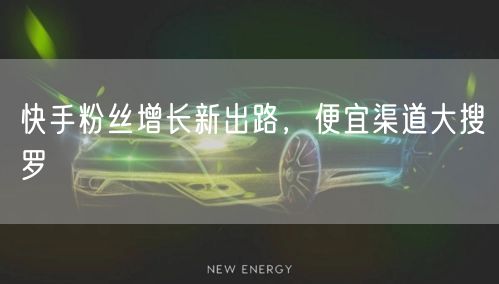 快手粉丝增长新出路，便宜渠道大搜罗