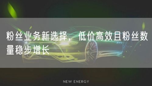 粉丝业务新选择，低价高效且粉丝数量稳步增