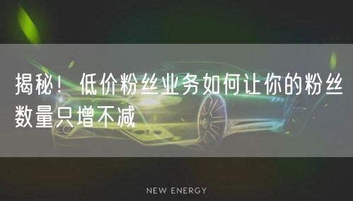 揭秘！低价粉丝业务如何让你的粉丝数量只增