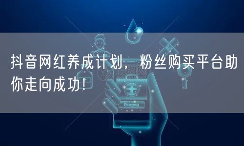 抖音网红养成计划,粉丝购买平台助你走向成