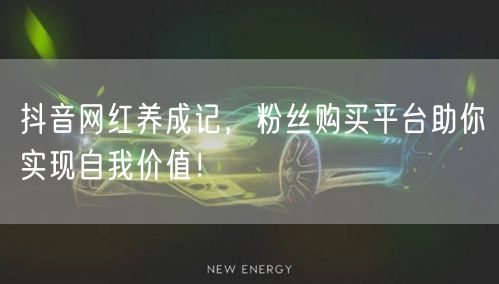 抖音网红养成记,粉丝购买平台助你实现自我