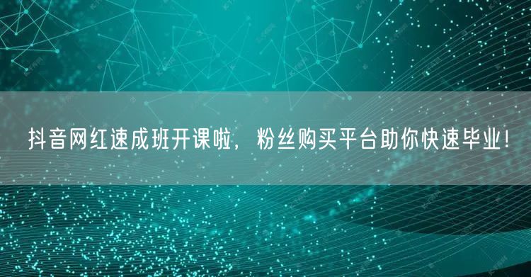 抖音网红速成班开课啦，粉丝购买平台助你快