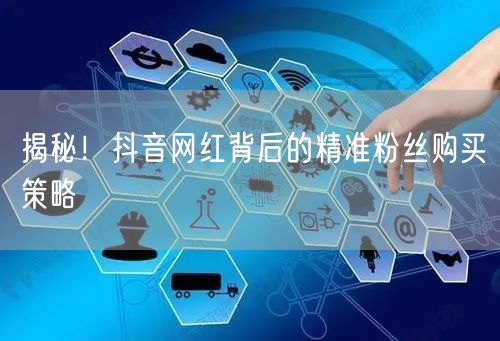 揭秘！抖音网红背后的精准粉丝购买策略