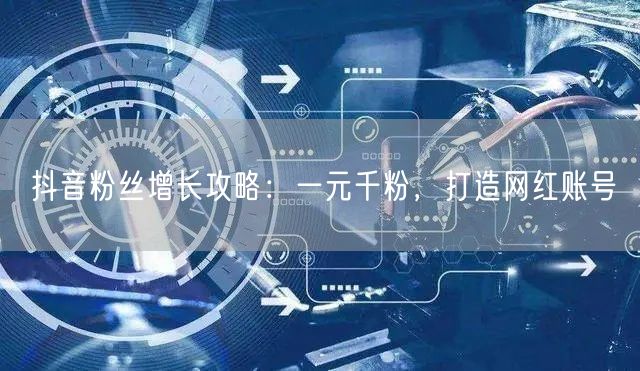 抖音粉丝增长攻略：一元千粉，打造网红账号