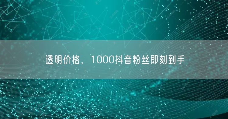 透明价格，1000抖音粉丝即刻到手