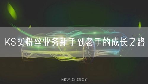 KS买粉丝业务新手到老手的成长之路