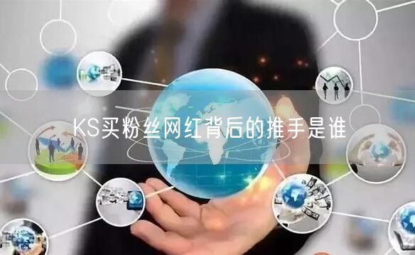 KS买粉丝网红背后的推手是谁