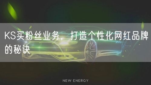 KS买粉丝业务，打造个性化网红品牌的秘诀