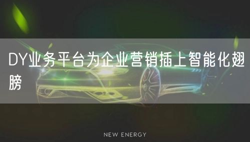 DY业务平台为企业营销插上智能化翅膀