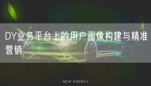 DY业务平台上的用户画像构建与精准营销
