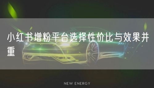 小红书增粉平台选择性价比与效果并重
