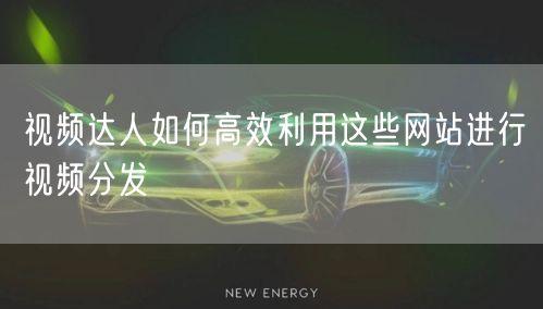 视频达人如何高效利用这些网站进行视频分发
