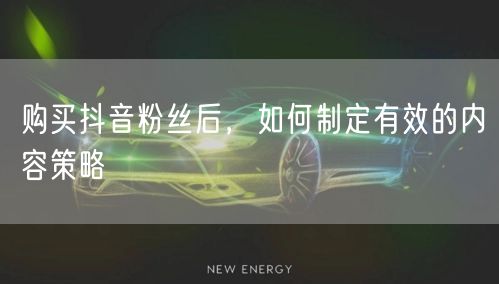 购买抖音粉丝后,如何制定有效的内容策略