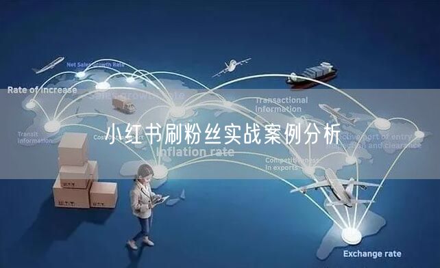 小红书刷粉丝实战案例分析