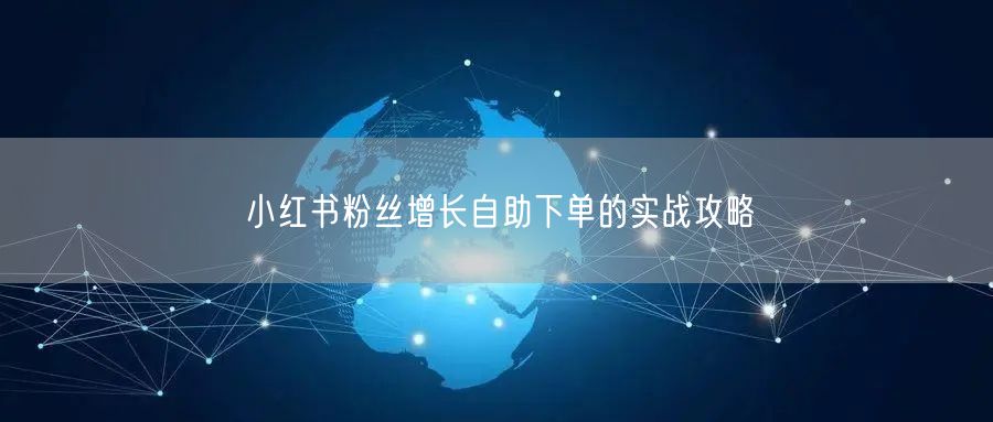 小红书粉丝增长自助下单的实战攻略