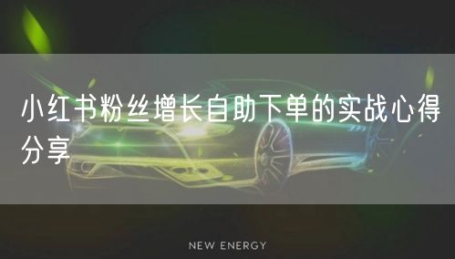 小红书粉丝增长自助下单的实战心得分享