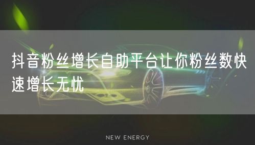 抖音粉丝增长自助平台让你粉丝数快速增长无