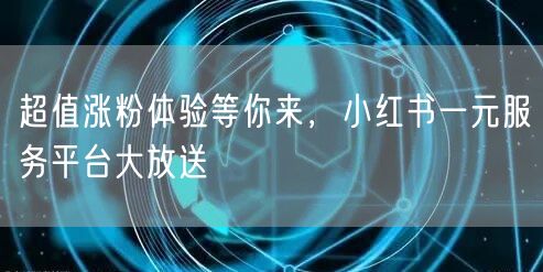 超值涨粉体验等你来，小红书一元服务平台大