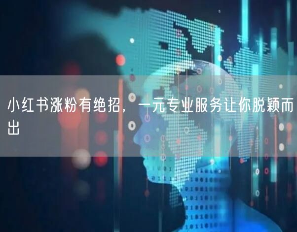 小红书涨粉有绝招，一元专业服务让你脱颖而