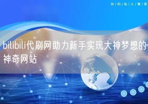 bilibili代刷网助力新手实现大神梦