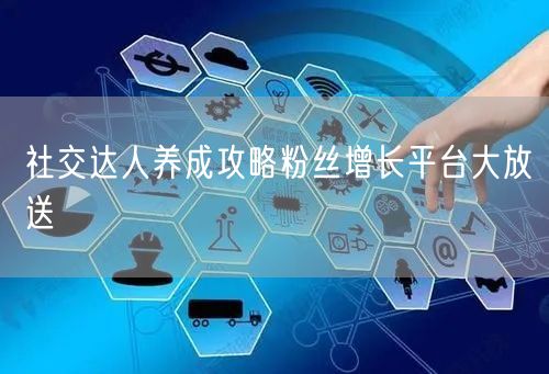 社交达人养成攻略粉丝增长平台大放送