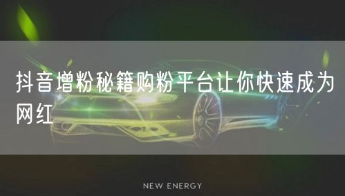 抖音增粉秘籍购粉平台让你快速成为网红