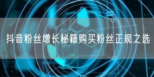 抖音粉丝增长秘籍购买粉丝正规之选