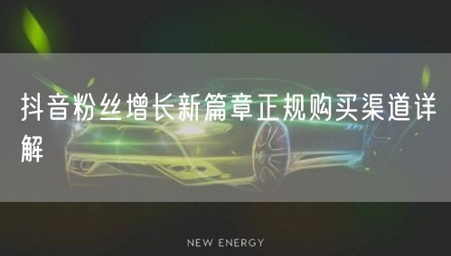 抖音粉丝增长新篇章正规购买渠道详解